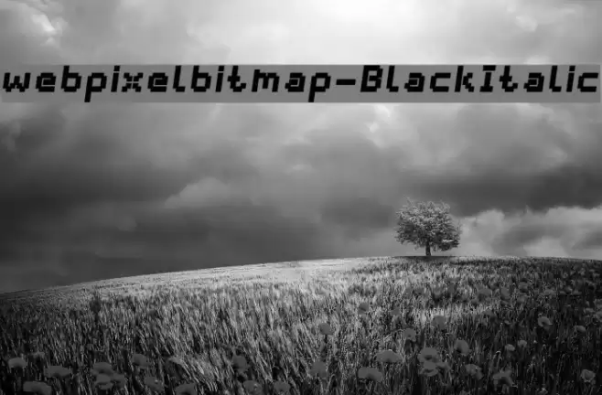 webpixelbitmap-BlackItalic Font examples