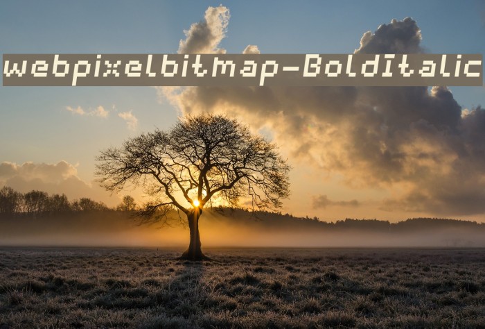 webpixelbitmap-BoldItalic Example 2