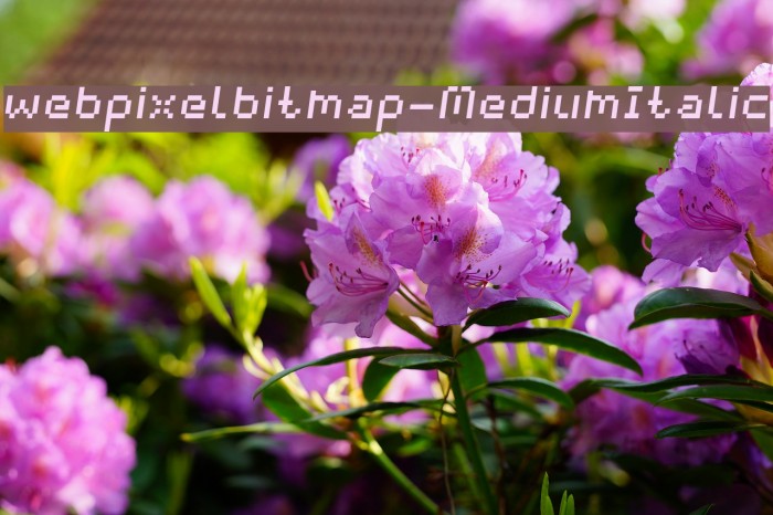 webpixelbitmap-MediumItalic Font examples