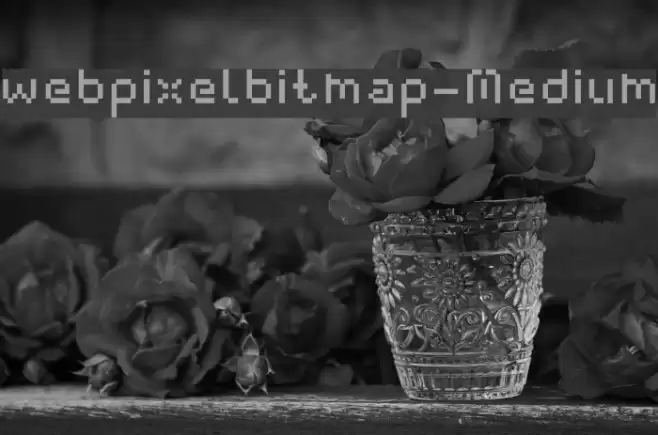 webpixelbitmap-Medium Font examples