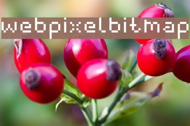 webpixelbitmap Example 2