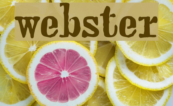 webster Font examples