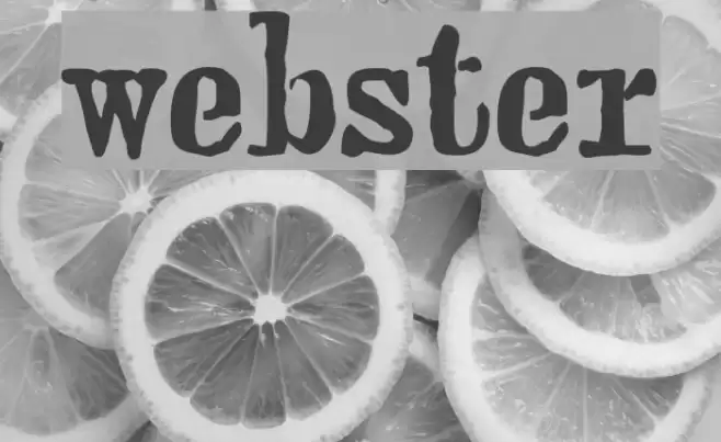 webster Шрифта examples