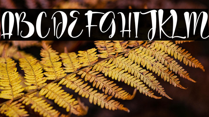 wedding dress - personal use Example 1