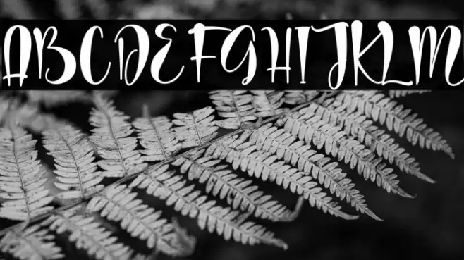 wedding dress - personal use Font examples