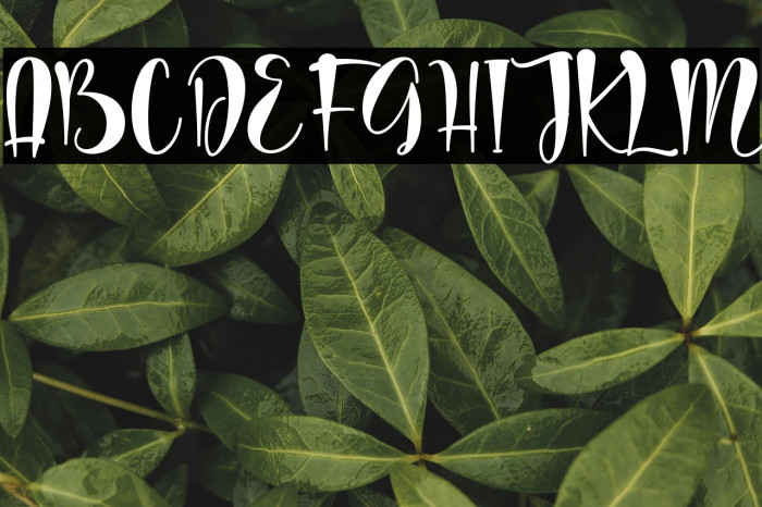 wedding dress - personal use Example 2