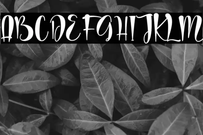 wedding dress - personal use Font examples