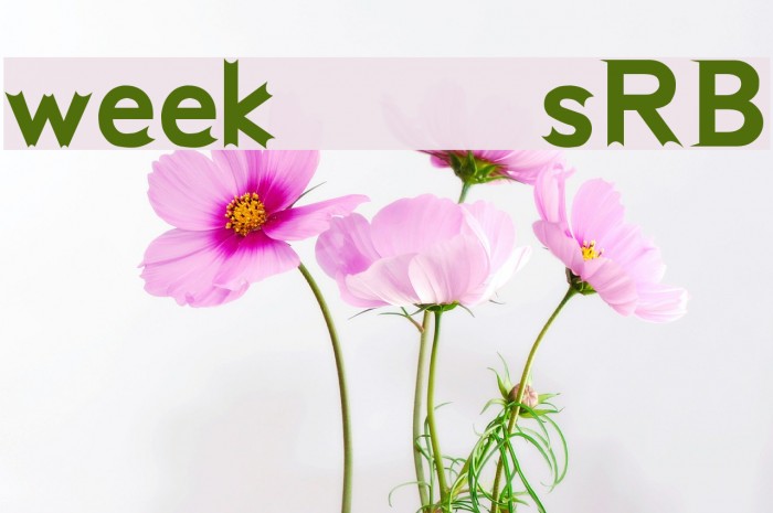 week [sRB] Example 2