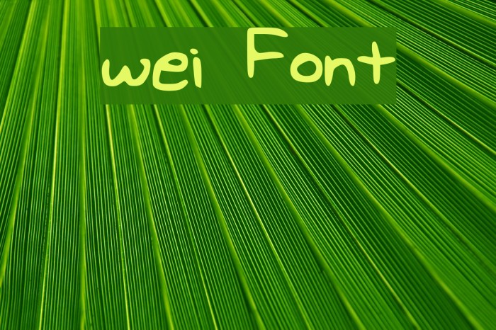 wei Font examples