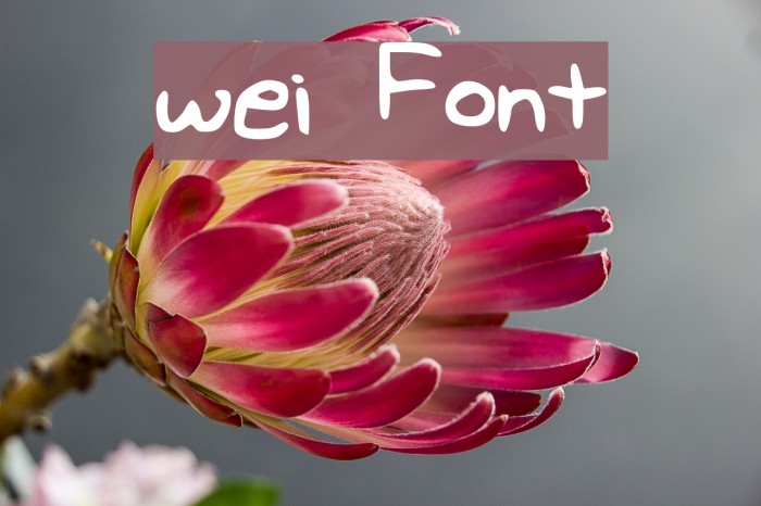wei Font examples