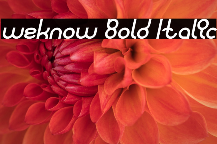 weknow Bold Italic Example 1