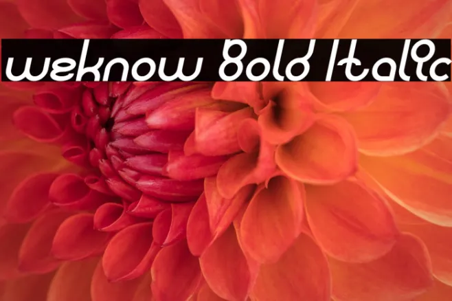 weknow Bold Italic Example 1