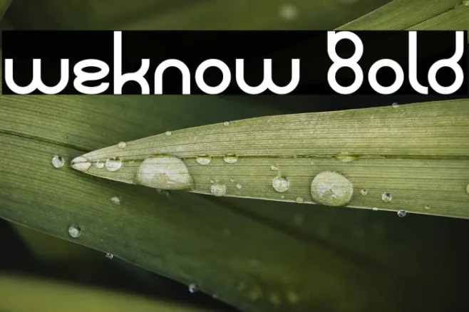 weknow Bold Example 3