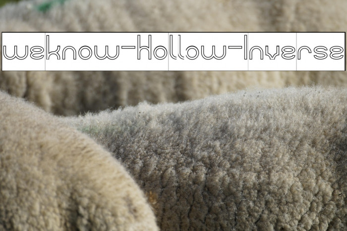 weknow-Hollow-Inverse Example 3