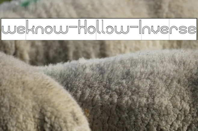 weknow-Hollow-Inverse Example 3