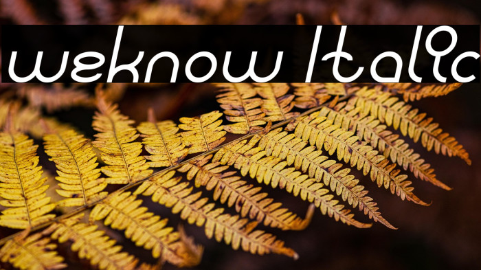 weknow Italic Example 1
