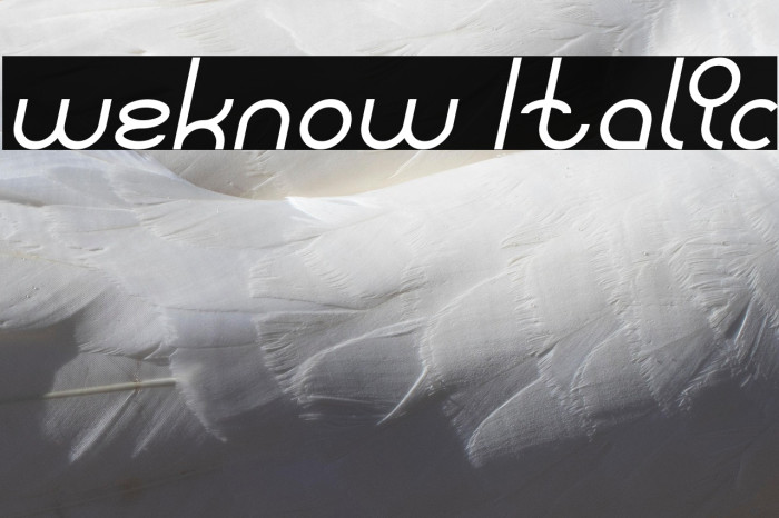 weknow Italic Example 3