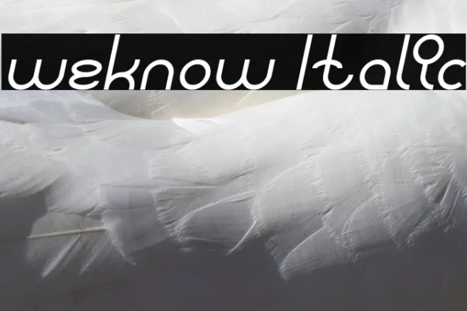 weknow Italic Example 3