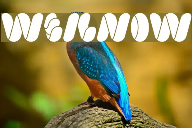 weknow Example 3