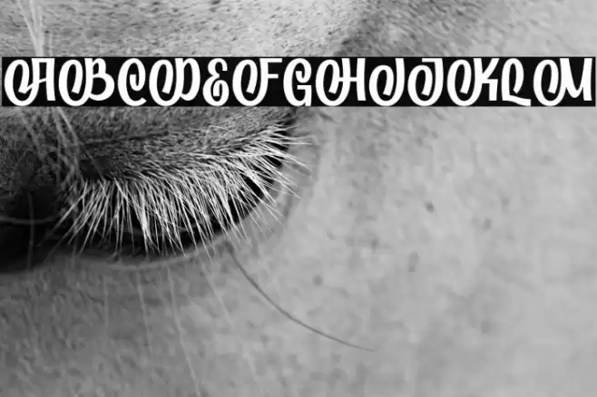 welldone Font examples