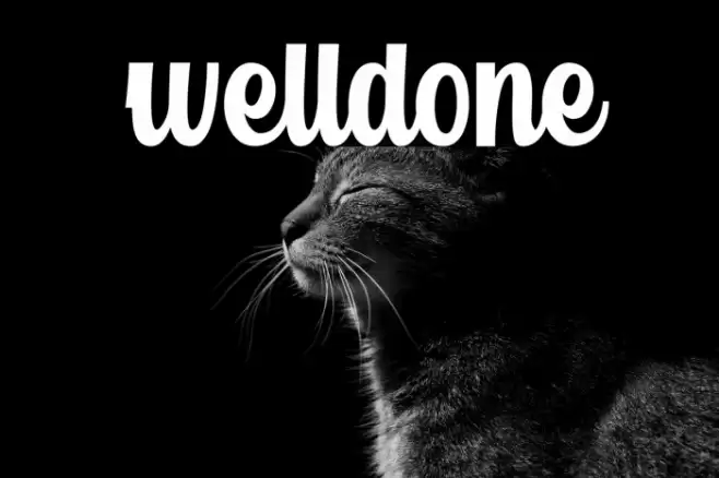 welldone Font examples