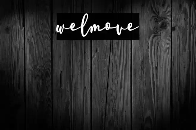 welmove Font examples