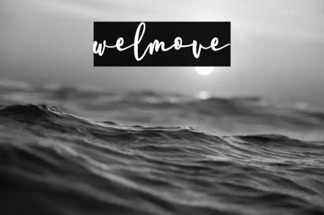 welmove Font examples