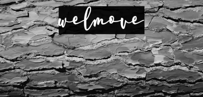 welmove Font examples