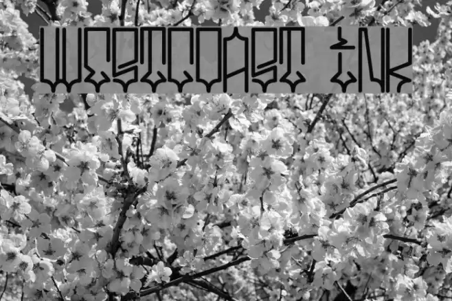 westcoast ink Font examples