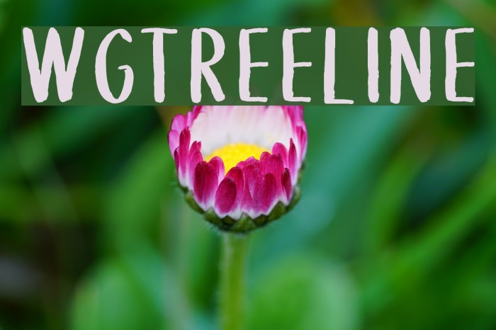 WGTreeline Font examples
