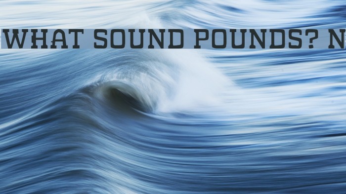 WHAT SOUND POUNDS? Normal Font examples