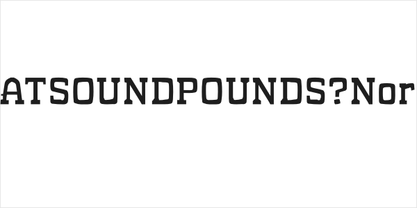 WHATSOUNDPOUNDS?Normal Logo