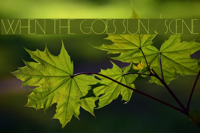 WHEN THE GOES SUN . SCENE Font examples