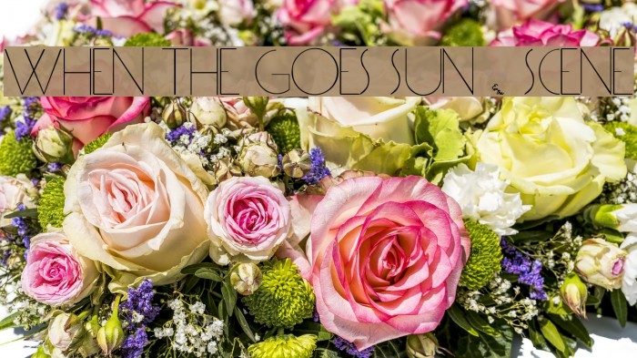 WHEN THE GOES SUN . SCENE Font examples