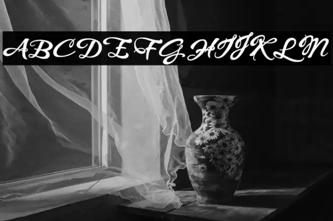 WHISPERS CALLIGRAPHY_DEMO_sinuous_BOLD Font examples