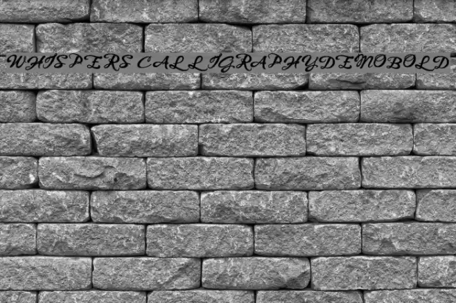 WHISPERS CALLIGRAPHY_DEMO_sinuous_BOLD Font examples