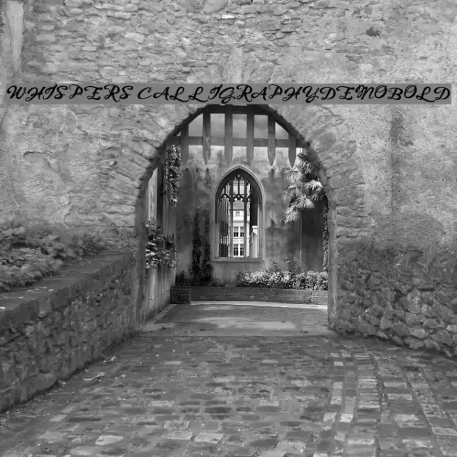 WHISPERS CALLIGRAPHY_DEMO_sinuous_BOLD Font examples