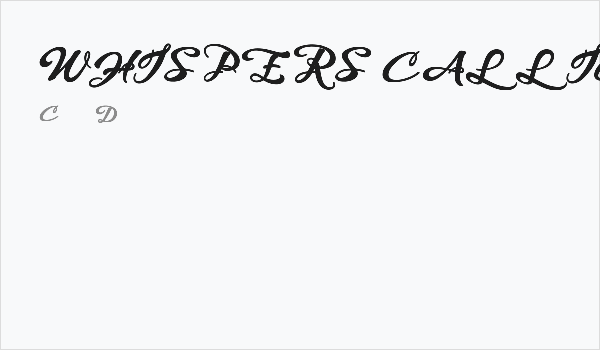 WHISPERS CALLIGRAPHY_DEMO_sinuous_BOLD Business Card