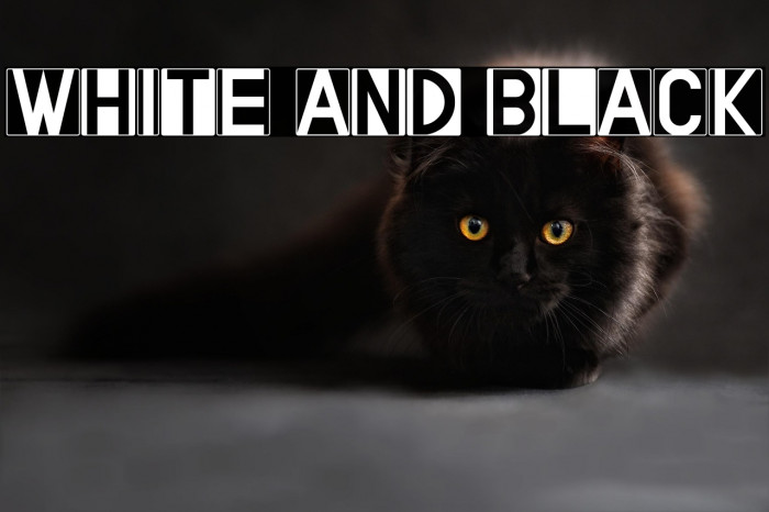 WHITE AND BLACK Example 2