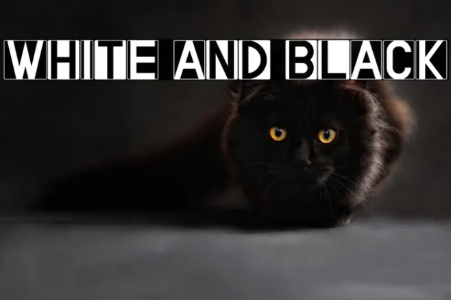 WHITE AND BLACK Example 2