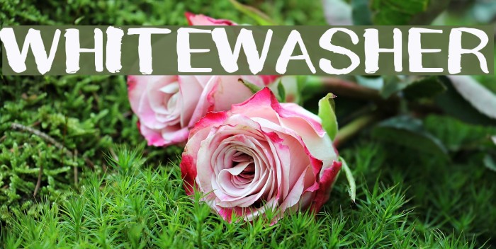 WHITEWASHER Example 2