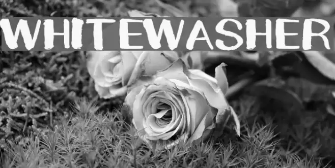 WHITEWASHER Font examples