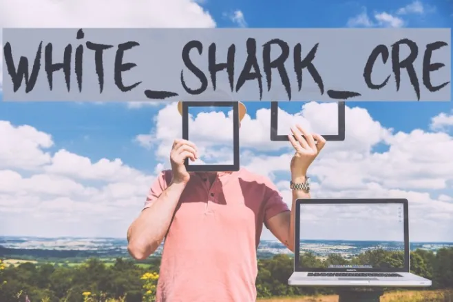 WHITE_SHARK_CRE Example 2