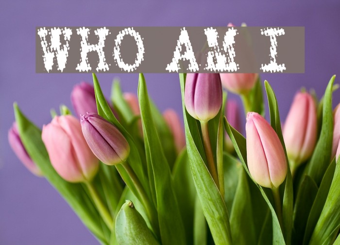 WHO AM I Font examples