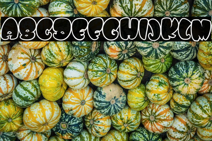 WHOA SAUCE PERSONAL USE Bold Example 1