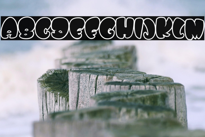 WHOA SAUCE PERSONAL USE Bold Example 2