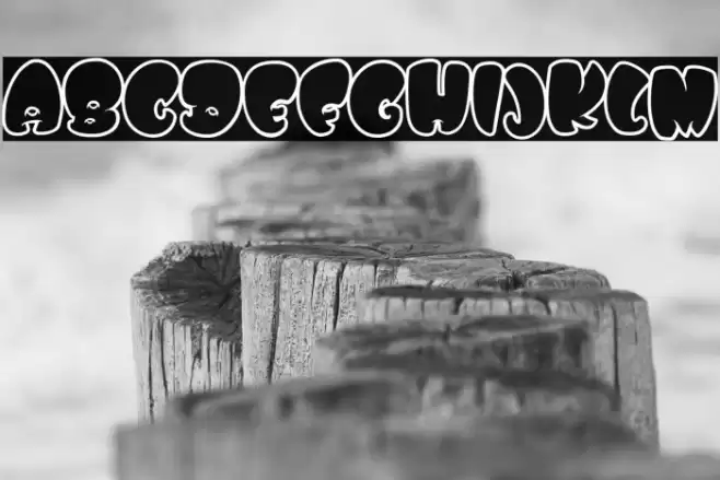 WHOA SAUCE PERSONAL USE Bold Schriftart examples