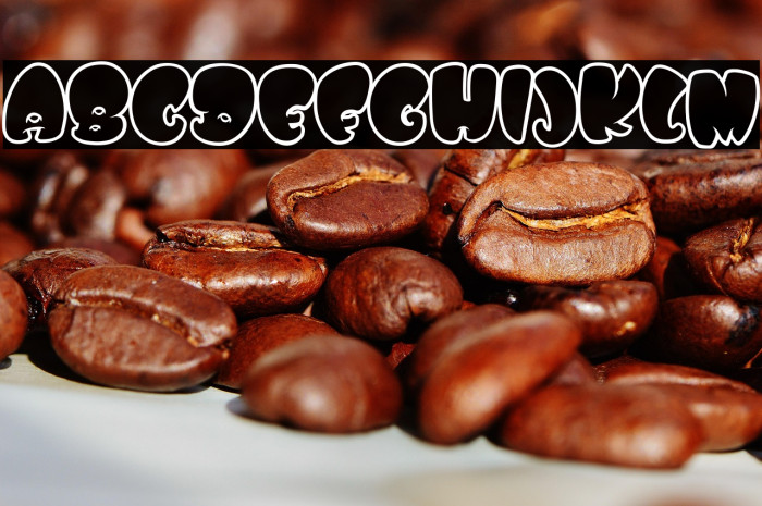 WHOA SAUCE PERSONAL USE Bold Example 3