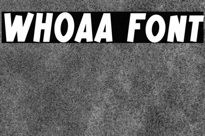 WHOAA Caratteri examples