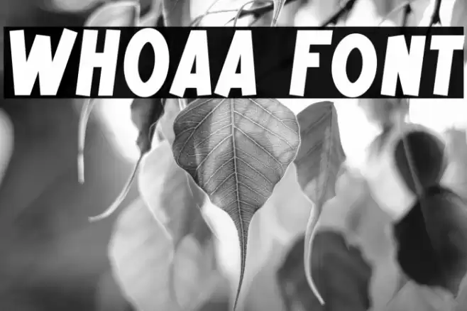 WHOAA Caratteri examples